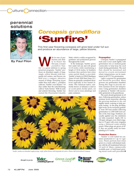 Coreopsis Grandiflora ‘Sunfire’ Is Excellence in PGR Technology W Brought to the Market by E ® ® Panamerican Seed Company
