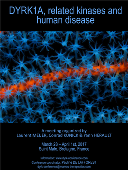 DYRK1A, Related Kinases and Human Disease