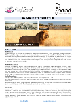 02 Night Ethosha Tour