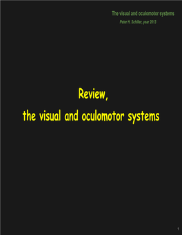 Vision Lecture 13 Notes: Review of the Visual System