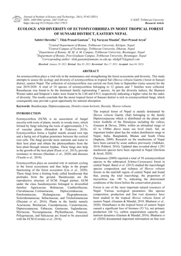 Ecology and Diversity of Ectomycorrhiza in Moist