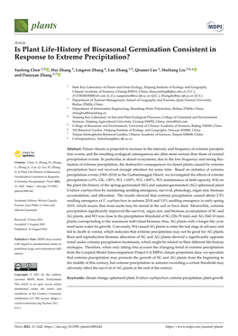 Is Plant Life-History of Biseasonal Germination Consistent in Response to Extreme Precipitation?