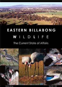 Eastern Billabong Wildlife