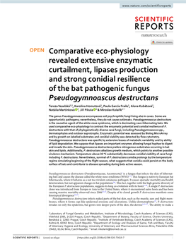 Comparative Eco-Physiology Revealed Extensive Enzymatic Curtailment, Lipases Production and Strong Conidial Resilience of the Ba
