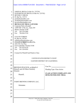 COMPLAINT and 21 Plaintiff, DEMAND for JURY TRIAL