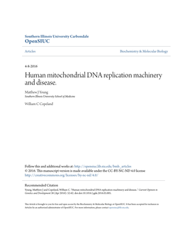 Human Mitochondrial DNA Replication Machinery and Disease. Matthew J Ouny G Southern Illinois University School of Medicine