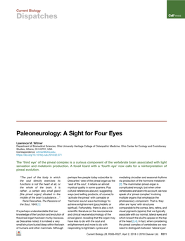 Paleoneurology: a Sight for Four Eyes