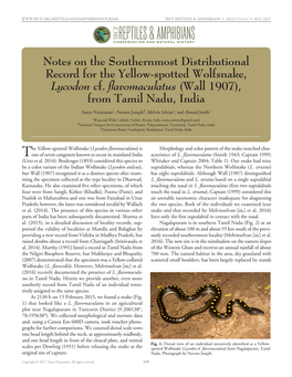 Lycodon Flavomaculatus) Is Morphology and Color Pattern of the Snake Matched Char