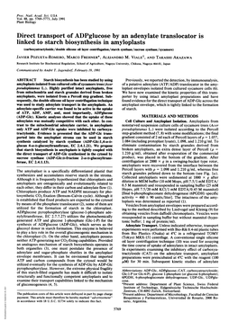 Direct Transport of Adpglucose by an Adenylate Translocator Is Linked to Starch Biosynthesis in Amyloplasts