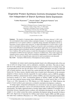 Organellar Protein Synthesis Controls Amyloplast Forma- Tion Independent of Starch Synthesis Gene Expression