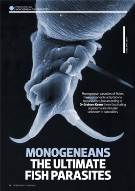 MONOGENEANS the ULTIMATE FISH PARASITES 28 / the Biologist / Vol 58 No 2 MAIN IMAGE, LEFT Fig