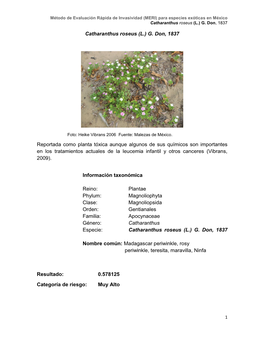 Catharanthus Roseus (L.) G. Don, 1837 Reportada Como Planta Tóxica