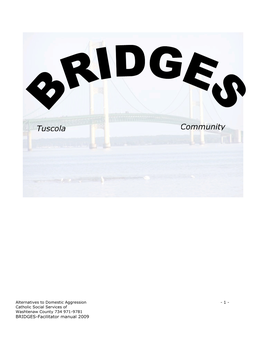 BRIDGES Facilitator Manual