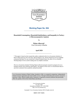 Household Consumption, Household Indebtedness, and Inequality in Turkey: a Microeconometric Analysis