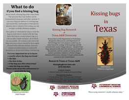 Kissing Bug Brochure