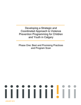Developing a Strategic and Coordinated Approach to Violence Prevention Programming for Children and Youth in Calgary