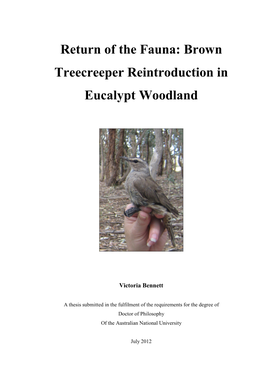 Brown Treecreeper Reintroduction in Eucalypt Woodland