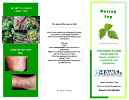 Poison -Ivy-Oak-Or-Sumac-Topic-Overview Article.Htm