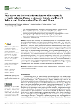 Production and Molecular Identification of Interspecific