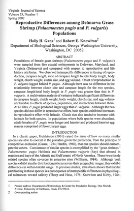 Palaemonetes Pugio and P. Vulgaris) Populations Holly H