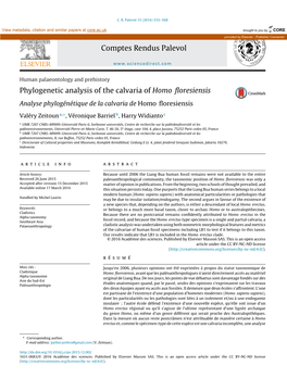 Phylogenetic Analysis of the Calvaria of Homo Floresiensis
