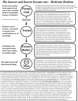 Moderate Realism