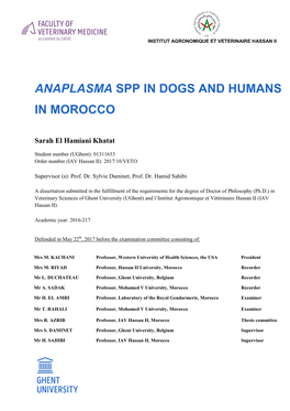 Anaplasma Spp in Dogs and Humans in Morocco