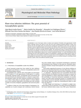 Plant-Virus Infection Inhibitors: the Great Potential of Caryophyllales Species