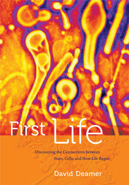 First Life: Discovering the Connections Between Stars