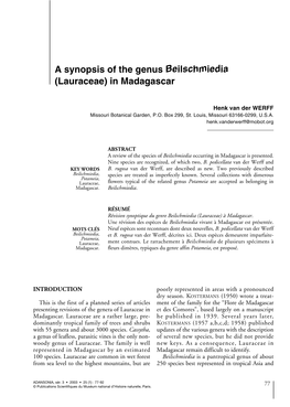 A Synopsis of the Genus Beilschmiedia (Lauraceae) in Madagascar