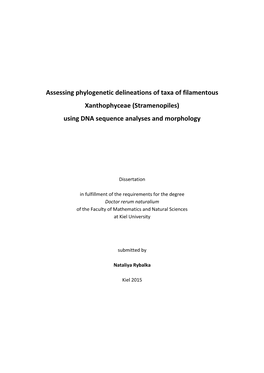 Assessing Phylogenetic Delineations of Taxa of Filamentous Xanthophyceae (Stramenopiles) Using DNA Sequence Analyses and Morphology