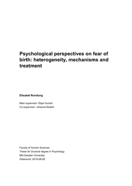 Psychological Perspectives on Fear of Birth: Heterogeneity, Mechanisms and Treatment