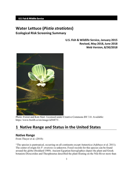 Pistia Stratiotes) Ecological Risk Screening Summary