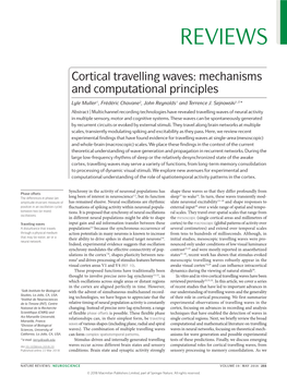 Cortical Travelling Waves: Mechanisms and Computational Principles