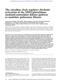 The Circadian Clock Regulates Rhythmic Activation of the NRF2/Glutathione- Mediated Antioxidant Defense Pathway to Modulate Pulmonary Fibrosis