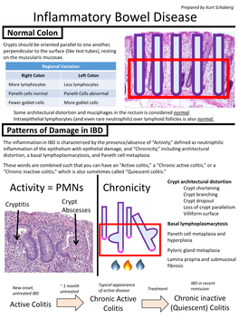 Inflammatory Bowel Disease