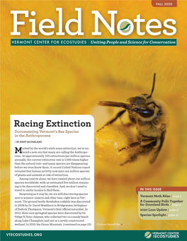 Racing Extinction Documenting Vermont’S Bee Species in the Anthropocene