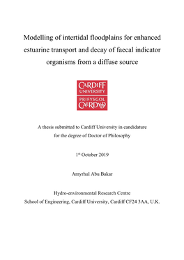 Modelling of Intertidal Floodplains for Enhanced Estuarine Transport and Decay of Faecal Indicator Organisms from a Diffuse Source