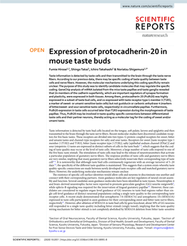 Expression of Protocadherin-20 in Mouse Taste Buds Fumie Hirose1,2, Shingo Takai1, Ichiro Takahashi2 & Noriatsu Shigemura1,3*