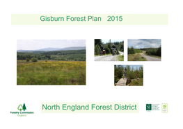 Gisburn Forest Plan 2015