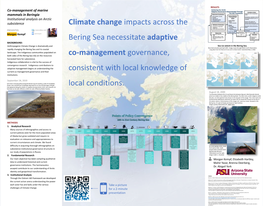 Co-Management of Marine Mammals in Beringia: Institutional