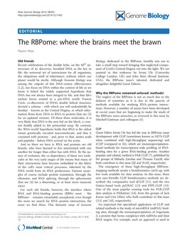 The Rbpome: Where the Brains Meet the Brawn Naomi Attar