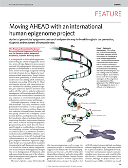 Moving Ahead with an International Human Epigenome Project