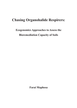 Chasing Organohalide Respirers