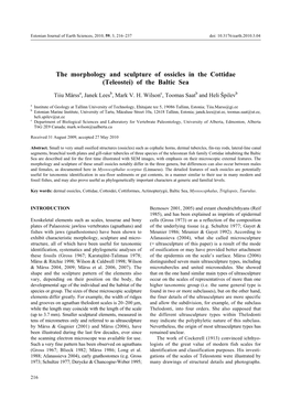 The Morphology and Sculpture of Ossicles in the Cottidae (Teleostei) of the Baltic Sea