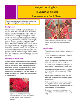 Winged Burning Bush (Euonymus Alatus) Homeowners Fact Sheet