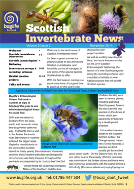 Volume 5 Issue 2 November 2014 Welcome to the Tenth Issue of Discoveries and Scottish Invertebrate News! Project Updates