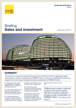 Briefing Sales and Investment January 2014