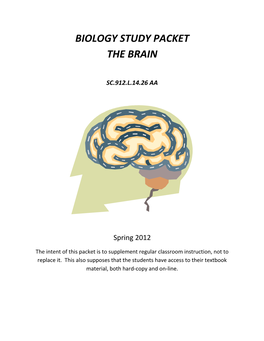 Biology Study Packet the Brain