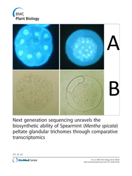 Next Generation Sequencing Unravels the Biosynthetic Ability of Spearmint (Mentha Spicata) Peltate Glandular Trichomes Through Comparative Transcriptomics